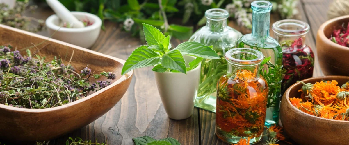 Plantas medicinales